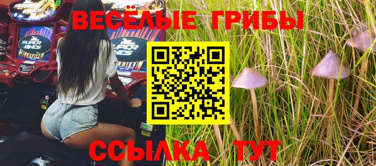 Удомля  Галлюциногенные грибы прущие грибы  Галлюциногенные грибы MAGIC MUSHROOMS  Вход с VPN 