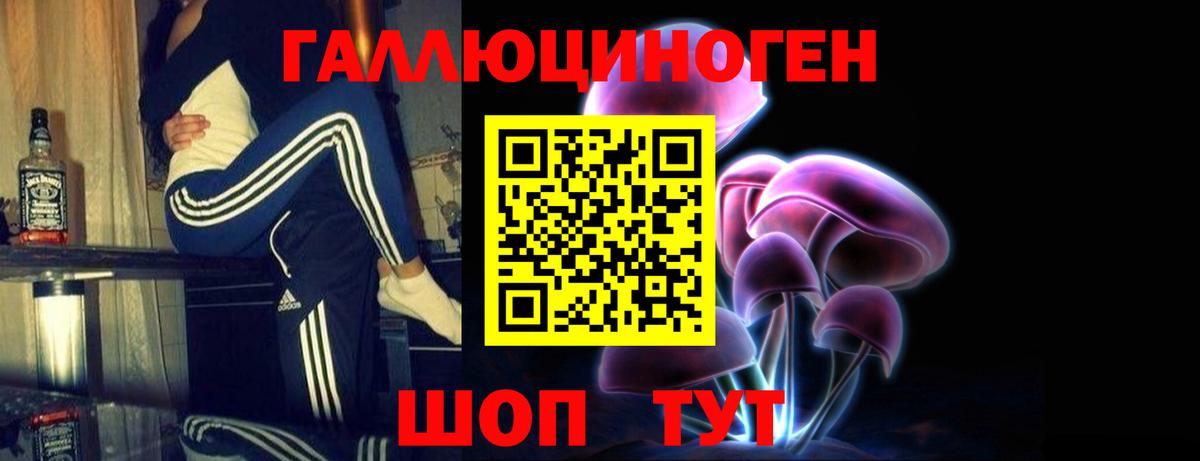 Псилоцибиновые грибы Cubensis Удомля