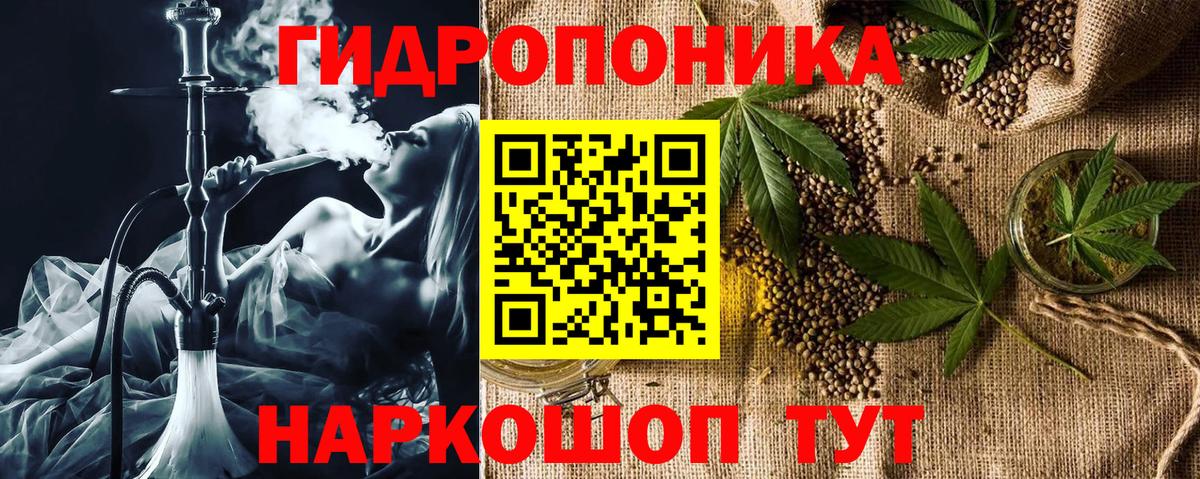Канабис OG Kush Удомля